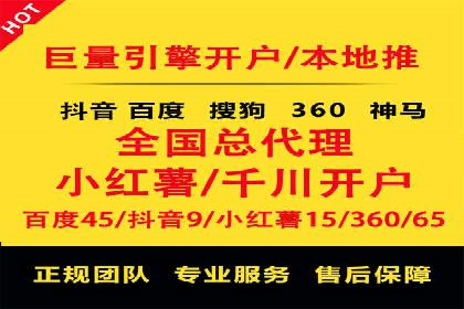 成功运用SEM服务实现品牌快速成长的案例